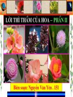 Lời thì thầm của hoa - Phần 2