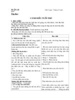 Giáo án lớp 4 - Tuần 15 - CKT