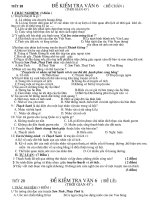 T28 DềKiểm tra văn 6-Đ.án-Ma trận