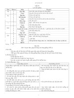 GA Lớp 3 tuần 15 theo chuẩn