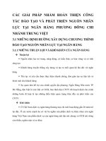 CÁC GIẢI PHÁP NHẰM HOÀN THIỆN CÔNG TÁC ĐÀO TẠO VÀ PHÁT TRIỂN NGUỒN NHÂN LỰC TẠI NGÂN HÀNG PHƯƠNG ĐÔNG CHI NHÁNH TRUNG VIỆT