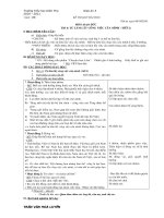 Đạo đức 3 Tuần 6