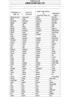 Động Từ Bất Quy Tắc