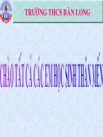 Đoeàn kết tương trợ