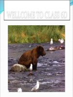 Unit 13 - GV: Nguyễn Thị Hương