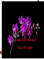 TIẾT 3: TỪ GHÉP