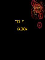 Tiết 33: Các Bon