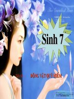 tiet 63 đong vat quy hiem