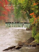 Giao an 10_ Ch1. Phep doi xung truc