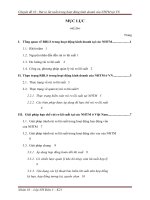 nhom 10- rui ro lai sua trong hoat dong kinh doanh tai nhtm vn