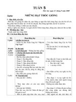 Giáo án lớp 4(Tuần 5)