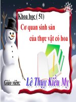 Khoa học ( 51 ): Cơ quan sinh sản của thực vật có hoa