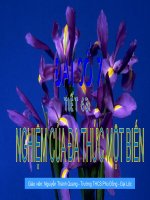 Đại số 7 - Tiết 63: Nghiệm của đa thức một biến