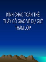 LICH SU 9 BÀI 24 VIỆTNAM TRONG CHIẾN TRANH THẾ GIỚI THỨ NHẤT