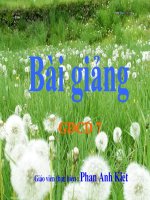 Bài 3 - Lớp 7 : Tự Trọng.