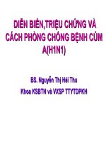 Chuyên đề : Bệnh cúm A ( H1N1 )