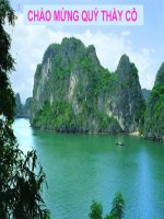 Vệ sinh cơ quan bài tiết nước tiểu