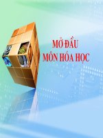 T1- Bài mở đầu