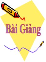 Giáo án Tin 11: Bài 4-5: Kiểu dữ liệu - Khai báo biến