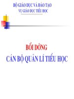 Bôi dưỡng CBQLGD Tiểu học