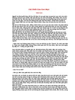 CÁI CHẾT CỦA CON MỰC