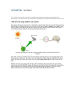 Lý thuyết màu     Bài 3.