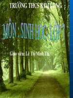 bài 17- một số giun đốt khác- đặc điểm chung