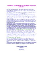 Cảm nghĩ nhân ngày nhà giáo Việt Nam 20/11/2008