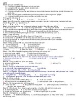 LIPIT- CHAT GIAT RUA