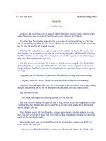 Con Rùa vàng (cỏ tích VN)