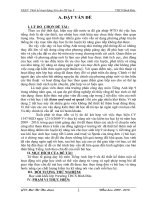 SKKN 2009 - 2010(Thu Loan)