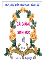 GIỚI THIỆU CHUNG VỀ GPSI TRẺ EM
