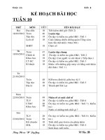 GA lớp 4 tuần 10 Chuẩn KTKN 2010-2011