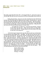 Nỗi đau Chế Lan Viên