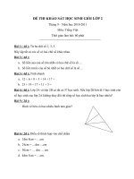 Đề khảo sát HSG Toán lớp 2