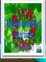 Luyện tập tóm tắt văn bản tự sự