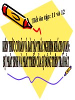 Ôn thi tốt nghiệp THPT - Sự phát sinh sự sống trên trái đất