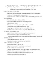 Kế hoạch TC năm 2010