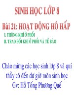 hoat dong ho hap s 8 tiet 22