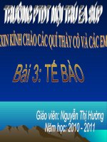 bài 3:Tế bào