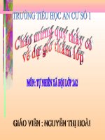 Con người và sức khỏe Tuần 10