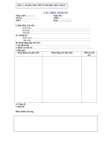 cấu trúc giáo án