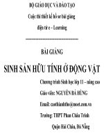 Sinh san huu tinh o dong vat