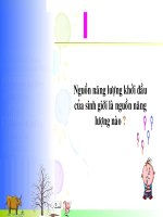 Hệ sinh thái (hình soạn)