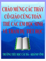 Tạp đọc: Bàn tay dịu dàng
