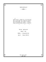 Kế hoach 12CB ( mẫu chuẩn kiến thức)