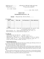 Bao cao nhanh dau nam