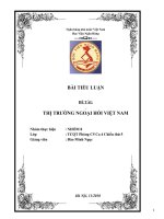 THỊ TRƯỜNG NGOẠI HỐI VIỆT NAM