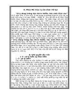 Sang kiến kinh nghiệm - TPT Đội