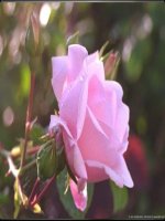 Tiết 7:Bài tập vận dụng đ/l Ôm